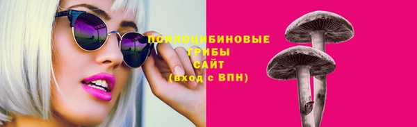 гашик Алексеевка