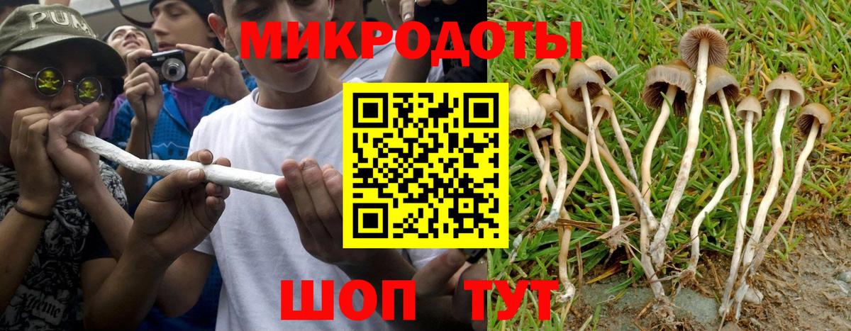 Шадринск  Псилоцибиновые грибы мухоморы  Вход с VPN 